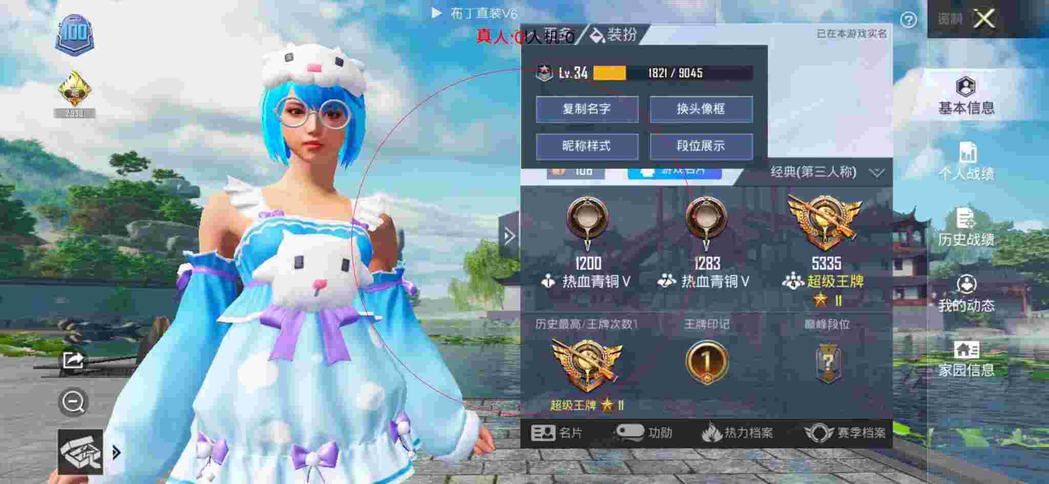 和平精英布丁直装透视 - 和平精英隐藏战绩查询辅助辅助预览图